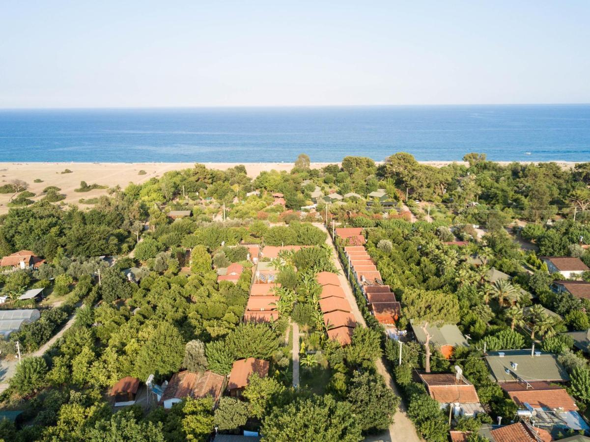 Serenity Bungalows Çıralı Εξωτερικό φωτογραφία