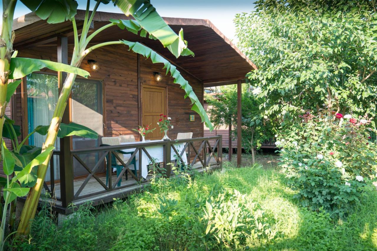 Serenity Bungalows Çıralı Εξωτερικό φωτογραφία
