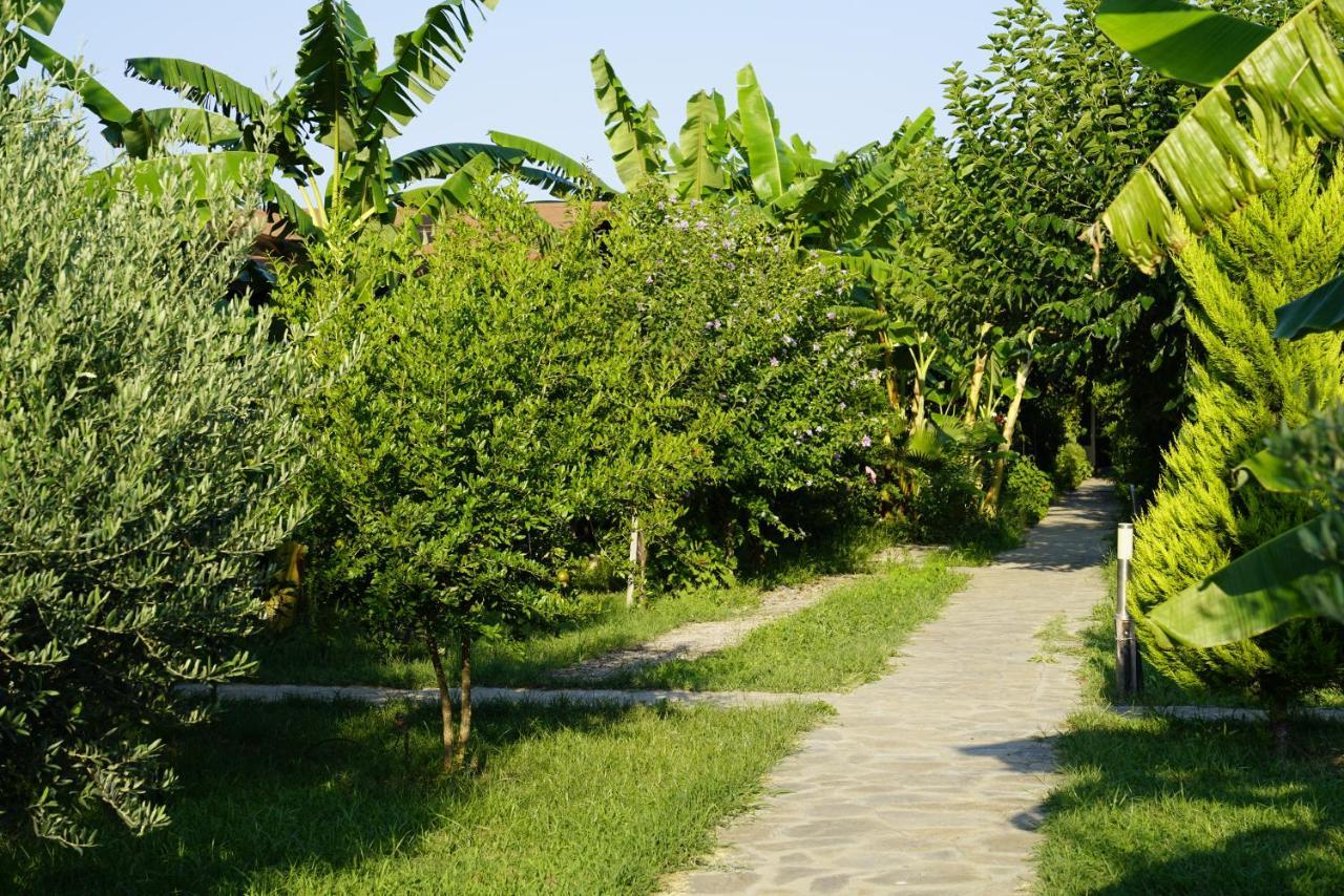 Serenity Bungalows Çıralı Εξωτερικό φωτογραφία