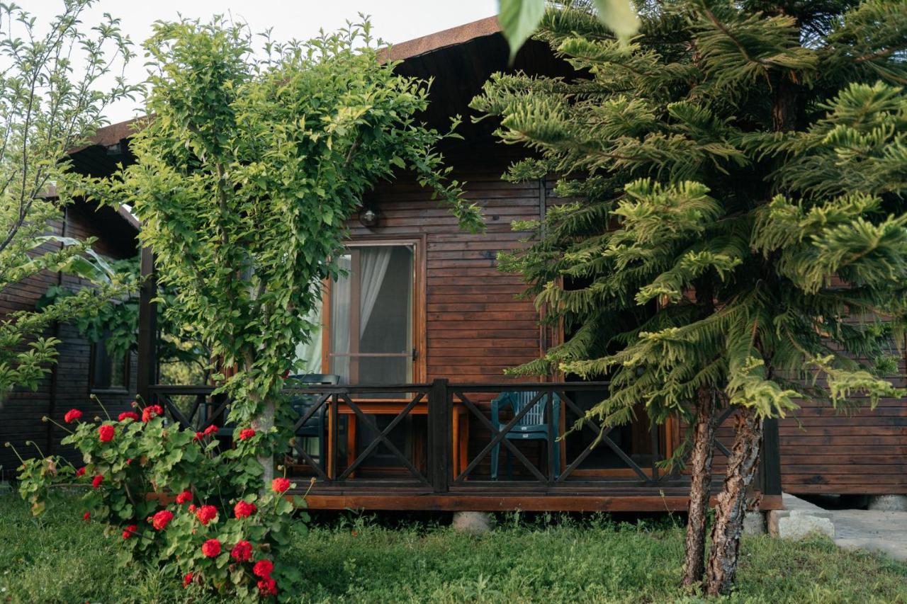 Serenity Bungalows Çıralı Εξωτερικό φωτογραφία