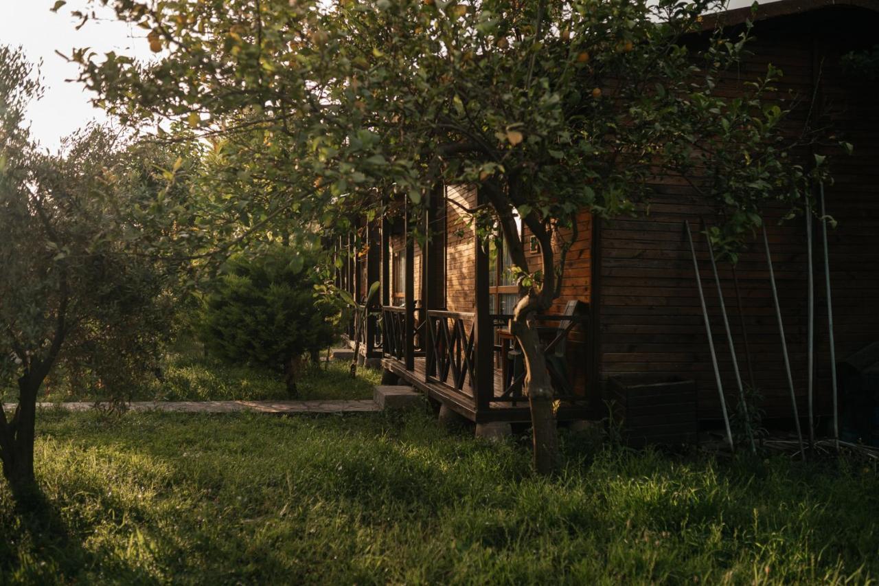 Serenity Bungalows Çıralı Εξωτερικό φωτογραφία